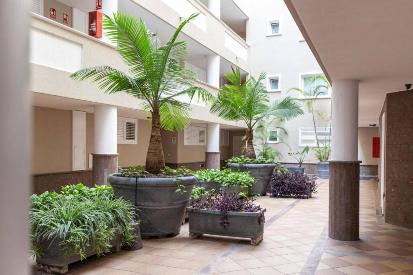3B Ocean And Mountain View By Dream Homes Tenerife Puerto de Santiago  Exterior foto